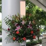 やっとこさっとこ写真撮りました。｜「フラワーショップ花家族」　（東京都稲城市の花キューピット加盟店 花屋）のブログ